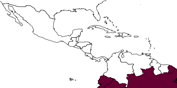 map of Hymenoepimecis mananuara     Pádua & Onody, 2015